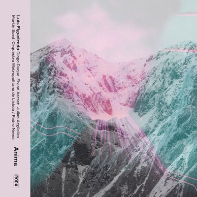 Anima (feat. Diogo Duque, Eivind Aarset, Julian Argüelles & Martin Sued)