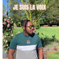 Je suis la voix (feat. Farage Nikov Neochrome) - Single - Maj Officiel