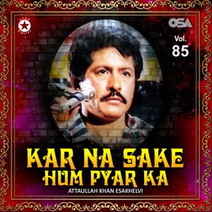 Kar Na Sake Hum Pyar Ka, Vol. 85