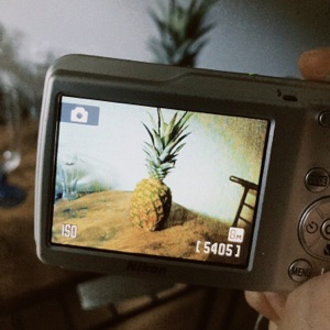 Pineapple