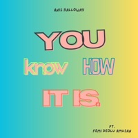 You Know How It Is (feat. Femi) - Single - Anis Halloway