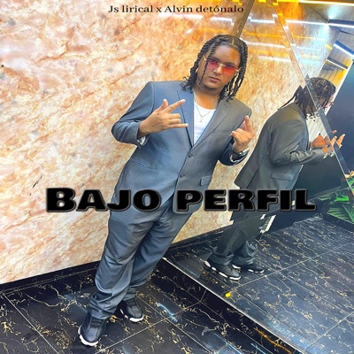Bajo Perfil (feat. ALVIN DETONALO) - Single