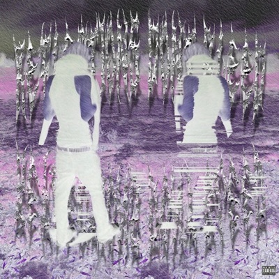 Reflections Don't Bleed