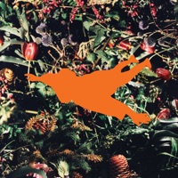 Regrowth Rearranged - Sampology
