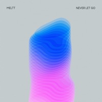 Meltt - Never Let Go