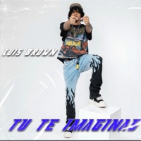 Tu te imaginas (feat. Luis brown) - Single - Zayaman RD