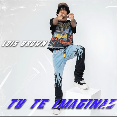 Zayaman RD - Tu te imaginas (feat. Luis brown)