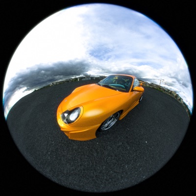 SERTRALINE NIGHTS - Single