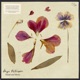 Sound and Silence EP