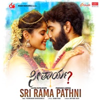 Seethayanam (Original Motion Picture Soundtrack) - Single - Padmanabh Bharadwaj, Ananta Sriram & Chandra Bose
