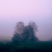 yesterday - Single - MVRLLIN