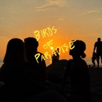 Birds of Paradise - Single