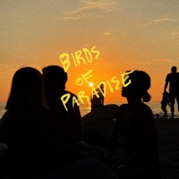Birds of Paradise - Single - Veni Sun