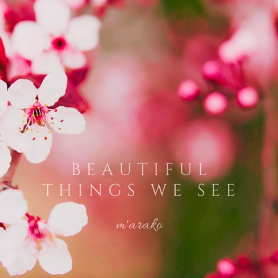 Beautiful Things We See (Instrumental Version) - Single