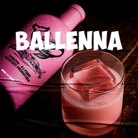 Ballenna - Single - Dj Pand, VINI019 & House01 Produtora