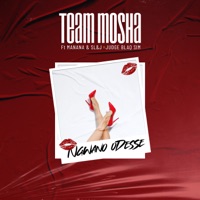 Ngwano odesse (Radio Edit) [feat. MAÑANA, SLJ & Judge Blaq Sim] - Single - Team Mosha