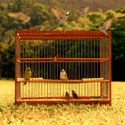 BIRDCAGE - EP