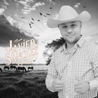 Dos Corazones Flechao - Single - Javier Sanchez
