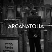 Verin benim sevdiğimi