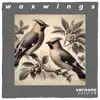 Vernons Future - Waxwings