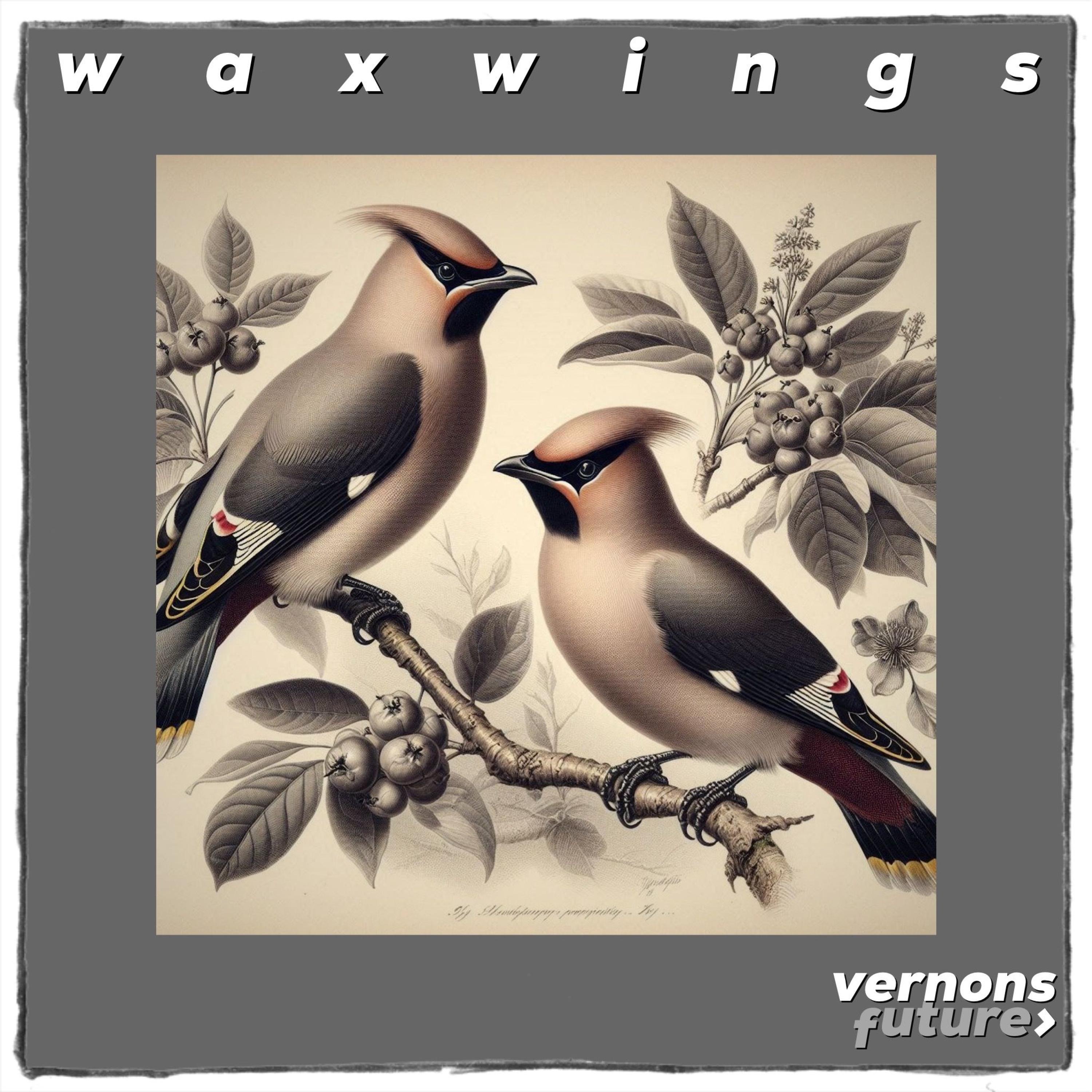 Waxwings - Single