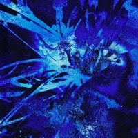 Sparks (feat. Drainpuppet) - Single - DJ Flp