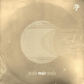 Male (Acoustic Version) KEVYN