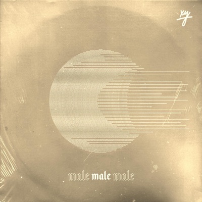 Male (Acoustic Version) - Single