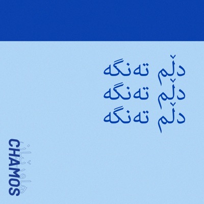 Dilim Zor Tenge - Single