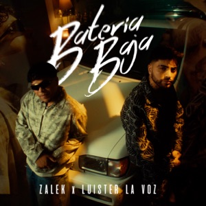 Batería Baja