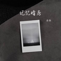 记忆暗房 - Single - 安揚