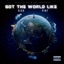 Got the World Like (feat. Pint) - Single