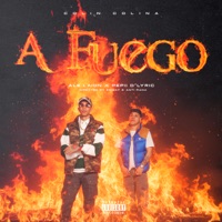 A fuego (feat. pepii d'lyric) - Single - Ale Laion