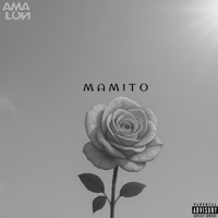 MAMITO - Single - Amalon
