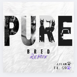 PURE BRED (feat. CD) [Radio Edit] J. Flan
