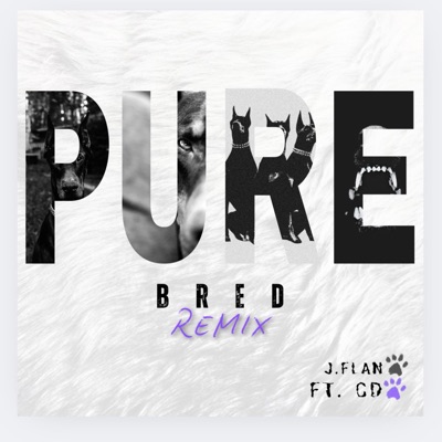 PURE BRED (feat. CD) [Radio Edit] - Single