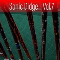 Sonic Didge, Vol. 7 - David Hudson