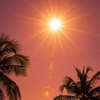 Golden - Single - Awada & 8$hots