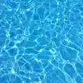 Fluid