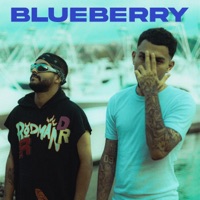 BLUEBERRY - Single - VECO & OllMyke