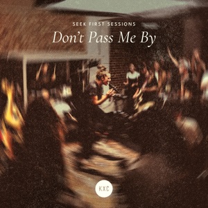 Don't Pass Me By - Single