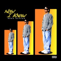 Now I Know - Doog Reppar