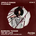 Try My Love (Flashmob Remix)
