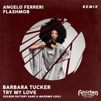 Try My Love (Angelo Ferreri Remix)