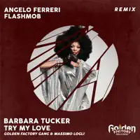 Try My Love — Golden Factory Gang, Massimo Logli & Barbara Tucker