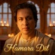 Hamara Dil Single