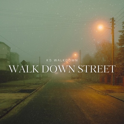 WALK DOWN STREET - Single