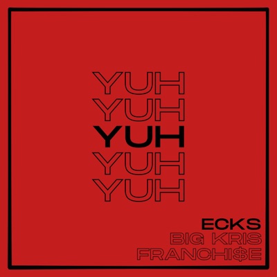 YUH (feat. SOB Big Kris & Franchi$e) - Single