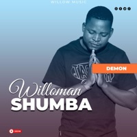 Ndaneta kutongwa ne Demon (Radio Edit) - Single - Willoman Shumba
