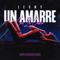 Un Amarre Con la Cama - Single - Lesny